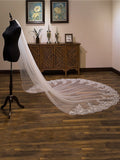 Luxurious Tulle With Lace Long Wedding Veils