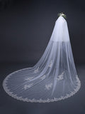 Charming Tulle With Lace Wedding Veils