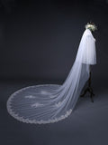 Charming Tulle With Lace Wedding Veils